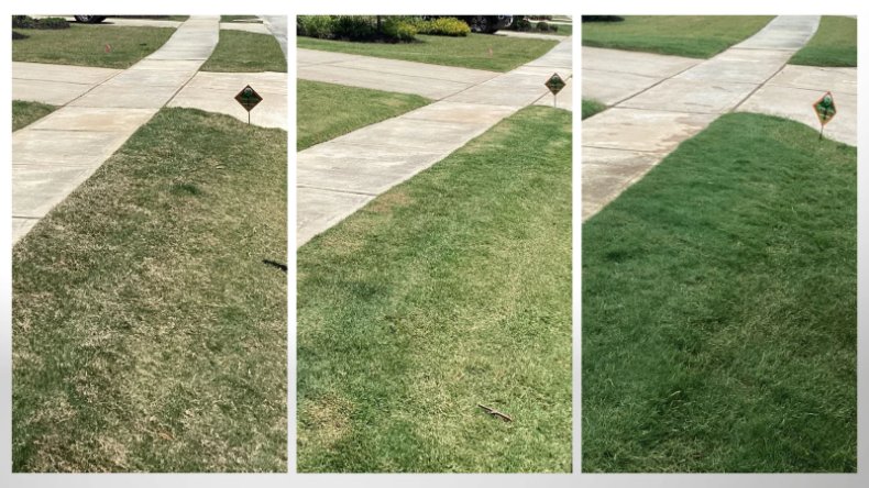 Lawn Aeration Process in Houston, TX