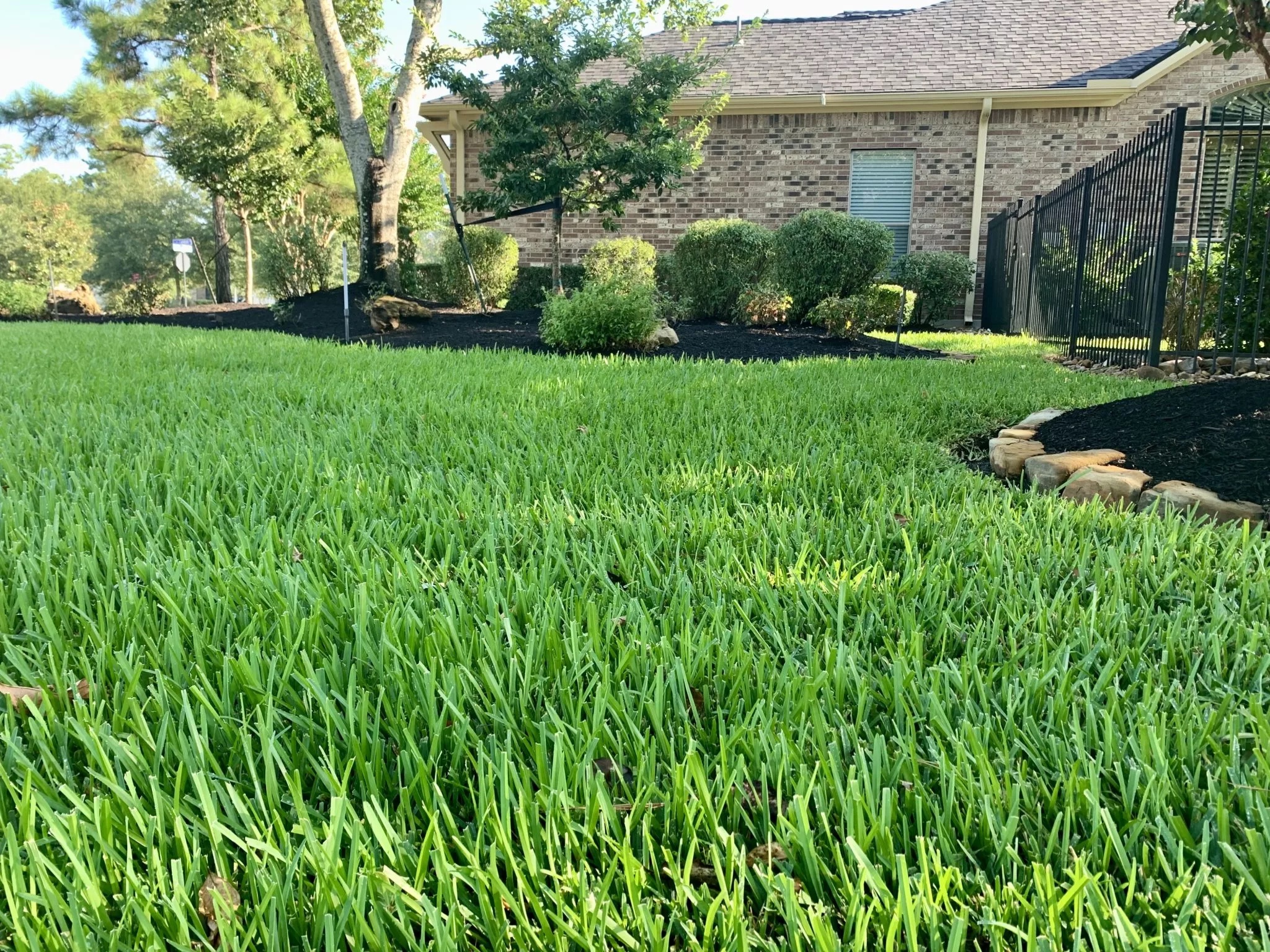 Best Lawn Aeration Rosenberg - GreenGate Turf & Pest