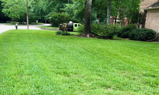 Bellaire, TX Sod Webworm Treatment