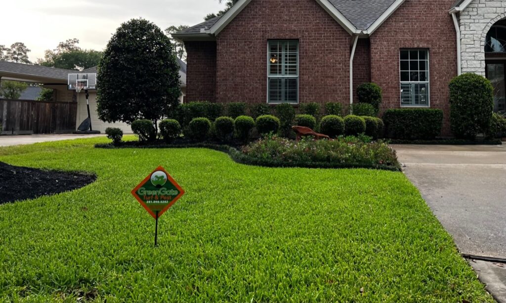 Completed Sod Webworm Treatment