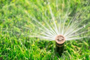 Green grass being watered by an automatic sprinkler system on a sunny day in Houston, TX