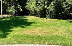 Lawn watering in Houston - Hot spots