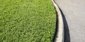 Beautiful St. Augustine lawns by GreenGate Turf & Pest at Taxes