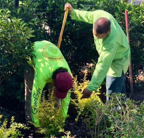 Mowing Maintenance in Houston, TX