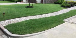 A Brick Walkway Approaches a house with Lush Grass and Shrubs in Houston, TX