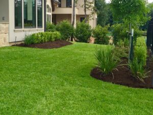 3 Essentials for a Beautiful Lawn