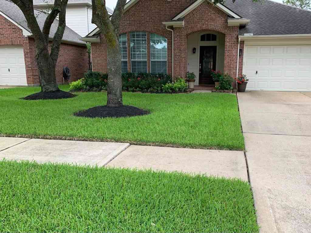 A Home Lawn Area Highlighting a Recent Lawn Fertilization Service in Katy, TX