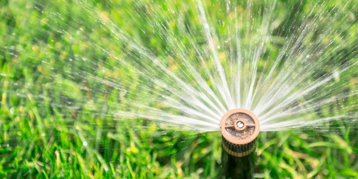 Green grass being watered by an automatic sprinkler system on a sunny day in Houston, TX